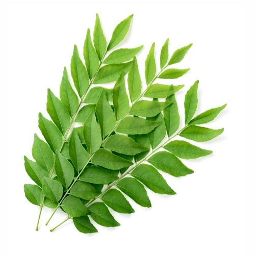 Fresh-Curry-Leaves.jpg